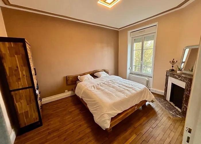 Lägenhet Apparemment Chaleureux Hyper Centre Nancy